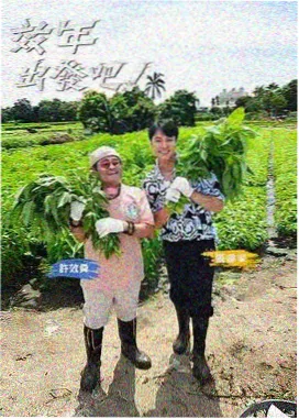 今夜不关机综艺海报